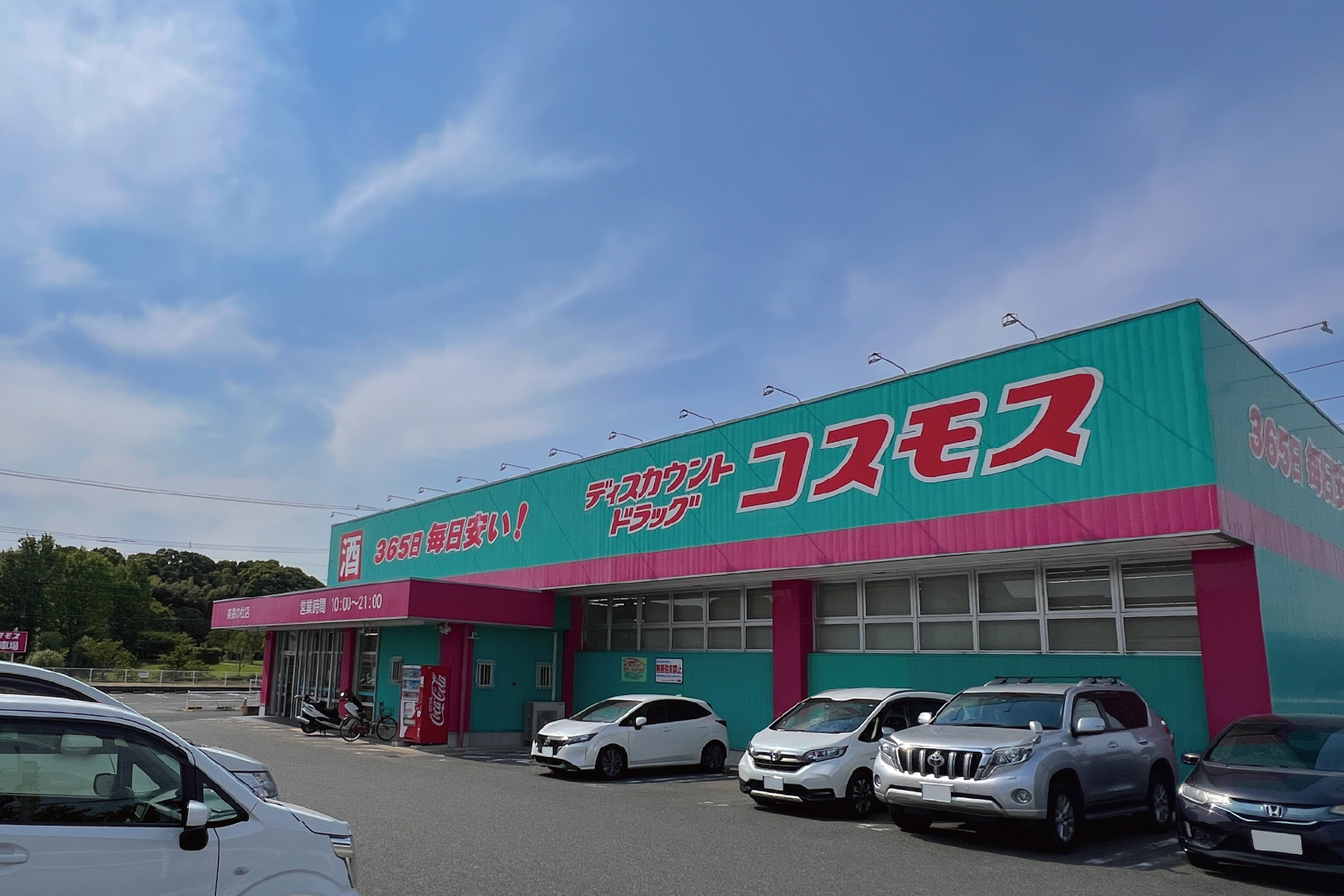 画像5
