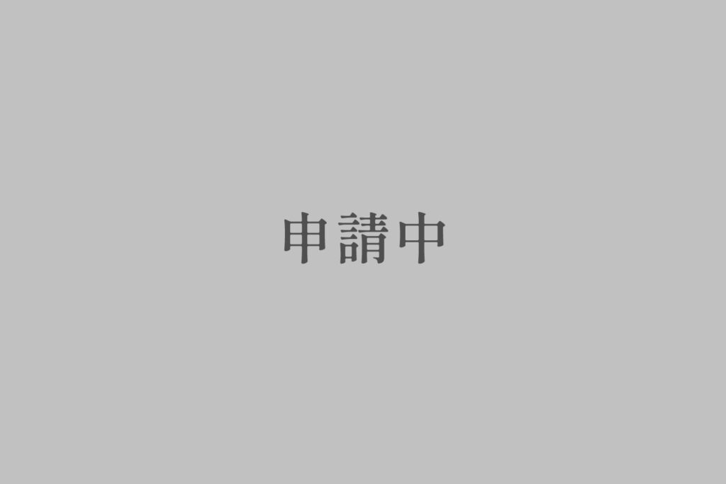 スライド画像